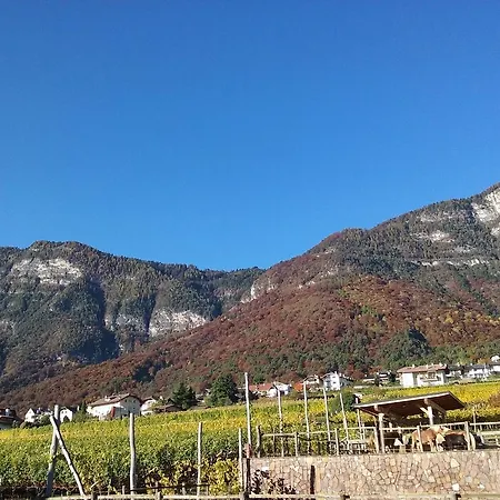Wiesmuellerhof Caldaro Exterior photo