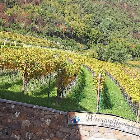 Wiesmuellerhof Caldaro Exterior photo